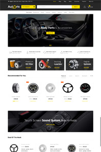 WordPress WooCommerce - W008