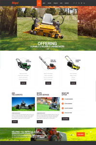 WordPress - WP12