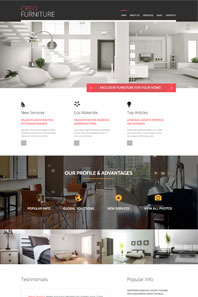 WordPress - WP30
