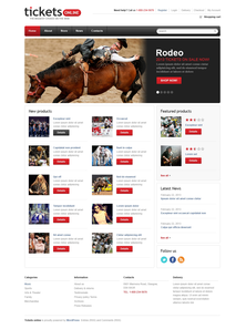 WordPress - WP40