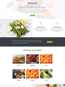 WordPress - WP63