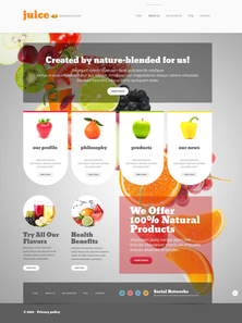 WordPress - WP67